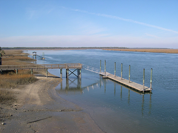 wetland ocrm delineations